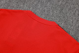 Liverpool Training Jersey Kit Red 2025/26