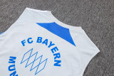 Bayern Munich Sleeveless Training Kit Gray 2025/26
