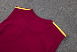 Arsenal Sleeveless Training Kit Red 2025/26