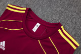 Arsenal Sleeveless Training Kit Red 2025/26