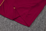 Arsenal Sleeveless Training Kit Red 2025/26