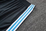 Argentina Training Jersey Kit Gray 2025