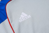 Bayern Munich Training Jersey Kit Gray 2025/26