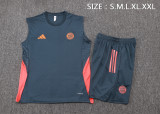 Bayern Munich Sleeveless Training Kit Gray 2025/26