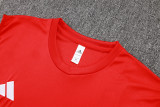 Arsenal Sleeveless Training Kit Red 2025/26