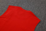 Liverpool Sleeveless Training Kit Red 2025/26