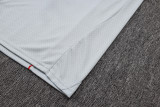 Bayern Munich Training Jersey Kit Gray 2025/26