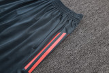 Bayern Munich Sleeveless Training Kit Gray 2025/26