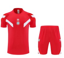 Bayern Munich Training Jersey Kit Red 2025/26