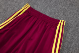 Arsenal Sleeveless Training Kit Red 2025/26