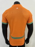 Côte d'Ivoire Authentic Soccer Jersey Home Shirt 2025