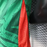 Cameroon Authentic Soccer Jersey Home Shirt 2025