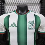 Mexico Authentic Special Edition Kit Soccer Jersey World Cup 2026