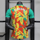 24-25 Senegal national team pre match jersey