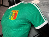 Senegal Authentic Soccer Jersey Retro Style Shirt World Cup 2026