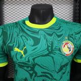 Senegal Authentic Soccer Jersey Away Shirt 2025