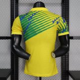Brazil Authentic Soccer Jersey Special Edition Shirt World Cup 2026