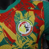 Senegal Authentic Soccer Jersey Training Shirt 2025