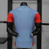 Japan Authentic Soccer Jersey Special Edition Shirt World Cup 2026
