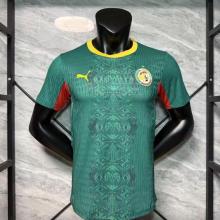 Senegal Authentic Soccer Jersey Away Shirt World Cup 2026