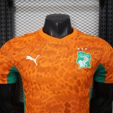 Ivory Coast Authentic Soccer Jersey Home Shirt 2026 World Cup