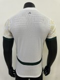 Côte d'Ivoire Authentic Soccer Jersey Away Shirt 2025