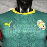 Senegal Authentic Soccer Jersey Away Shirt World Cup 2026