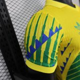 Brazil Authentic Soccer Jersey Special Edition Shirt World Cup 2026