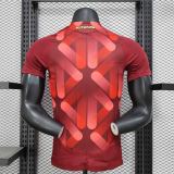 Germany Authentic Football Jersey Away Shirt 2025