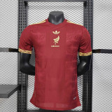 Mexico Authentic Red Special Soccer Jersey 2025