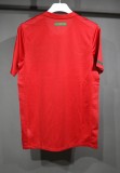 Portugal Retro Authentic Soccer Jersey Home Shirt World Cup 2010
