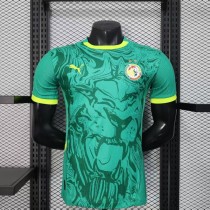 Senegal Authentic Soccer Jersey Away Shirt 2025 - Two Stars