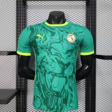 Senegal Authentic Soccer Jersey Away Shirt 2025 - Two Stars