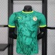 Senegal Authentic Soccer Jersey Away Shirt 2025 - Two Stars