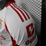 Benfica Authentic Soccer Jersey Third Away Shirt 2025/26