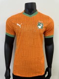 Côte d'Ivoire Authentic Soccer Jersey Home Shirt 2025