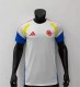 Colombia Authentic Soccer Jersey Training Shirt World Cup 2026