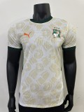 Côte d'Ivoire Authentic Soccer Jersey Away Shirt 2025