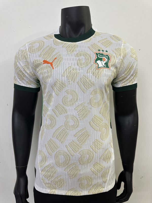 Côte d'Ivoire Authentic Soccer Jersey Away Shirt 2025