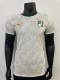 Côte d'Ivoire Authentic Soccer Jersey Away Shirt 2025