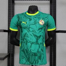 Senegal Authentic Soccer Jersey Away Shirt 2025