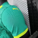 Senegal Authentic Soccer Jersey Away Shirt 2025