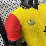 Ghana Authentic Soccer Jersey Special Edition Shirt World Cup 2025