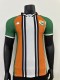 Côte d'Ivoire Authentic Soccer Jersey Special Edition Shirt 2025