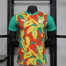 24-25 Senegal national team pre match jersey
