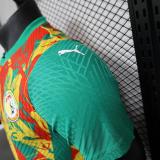 Senegal Authentic Soccer Jersey Training Shirt 2025