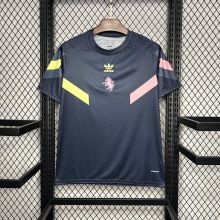 Juventus Soccer Jersey Pre-Match Custom Shirt 2024/25