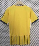 Brighton & Hove Albion Football Jersey Away Custom Shirt 2024/25