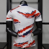 France Authentic Football Jersey Special Edition Shirt World Cup 2026