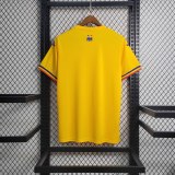 Romania Soccer Jersey Home Custom Shirt EURO 2024